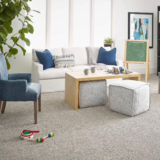 Living room carpet | Triangle Flooring Center