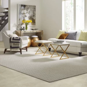 Area rug | Triangle Flooring Center
