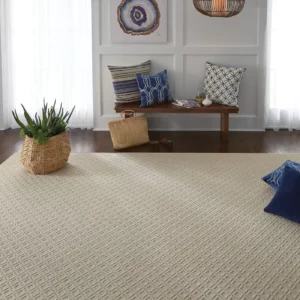 Area rug | Triangle Flooring Center